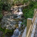 Overlook of the Lower Falls
