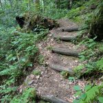 Log Steps on the Hickey Fork Trail