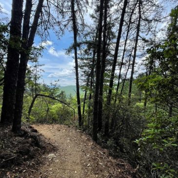 New Bernard Mountain Trail set to open June 16 in Old Fort, NC